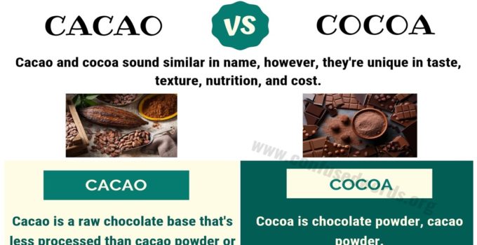 CACAO vs COCOA: Basic Difference between Cocoa vs Cacao