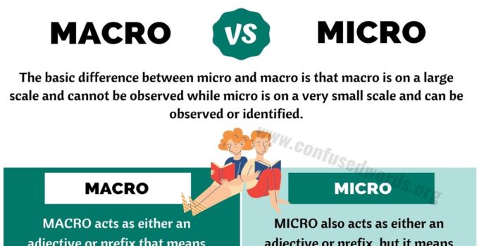 MACRO vs MICRO: What’s the Difference between Micro and Macro?
